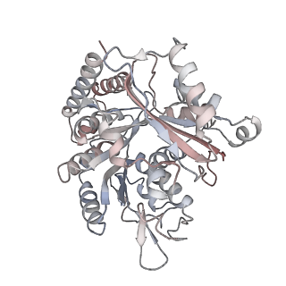 35791_8ixd_E_v1-2
GMPCPP-Alpha1C/Beta2A-microtubule decorated with kinesin non-seam region