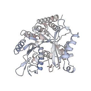 35791_8ixd_F_v1-2
GMPCPP-Alpha1C/Beta2A-microtubule decorated with kinesin non-seam region