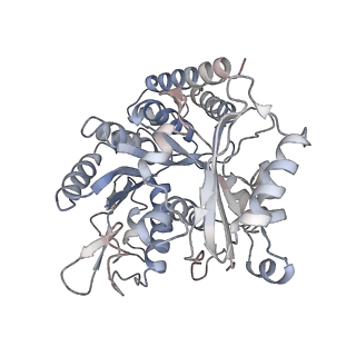 35791_8ixd_G_v1-2
GMPCPP-Alpha1C/Beta2A-microtubule decorated with kinesin non-seam region