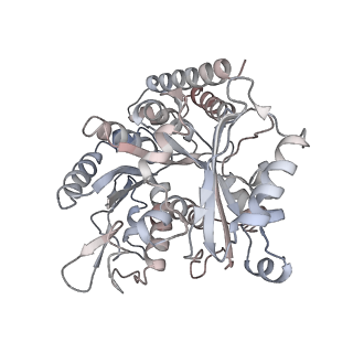 35791_8ixd_H_v1-2
GMPCPP-Alpha1C/Beta2A-microtubule decorated with kinesin non-seam region