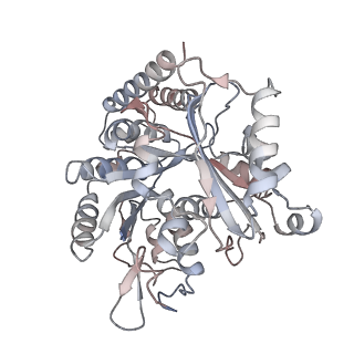 35791_8ixd_I_v1-2
GMPCPP-Alpha1C/Beta2A-microtubule decorated with kinesin non-seam region