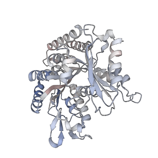 35791_8ixd_J_v1-2
GMPCPP-Alpha1C/Beta2A-microtubule decorated with kinesin non-seam region