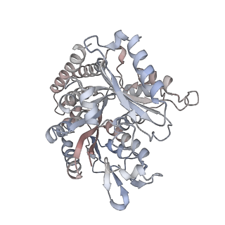 35791_8ixd_L_v1-2
GMPCPP-Alpha1C/Beta2A-microtubule decorated with kinesin non-seam region