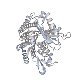 35791_8ixd_M_v1-2
GMPCPP-Alpha1C/Beta2A-microtubule decorated with kinesin non-seam region