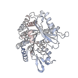 35791_8ixd_N_v1-2
GMPCPP-Alpha1C/Beta2A-microtubule decorated with kinesin non-seam region