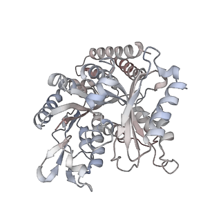 35791_8ixd_O_v1-2
GMPCPP-Alpha1C/Beta2A-microtubule decorated with kinesin non-seam region