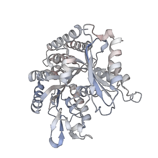 35791_8ixd_Q_v1-2
GMPCPP-Alpha1C/Beta2A-microtubule decorated with kinesin non-seam region