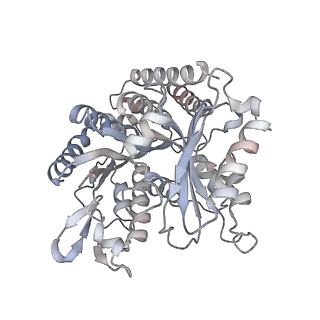35791_8ixd_R_v1-2
GMPCPP-Alpha1C/Beta2A-microtubule decorated with kinesin non-seam region