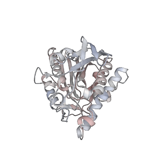 35791_8ixd_S_v1-2
GMPCPP-Alpha1C/Beta2A-microtubule decorated with kinesin non-seam region