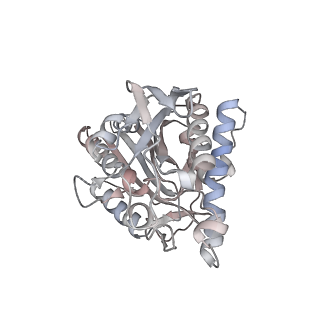 35791_8ixd_U_v1-2
GMPCPP-Alpha1C/Beta2A-microtubule decorated with kinesin non-seam region