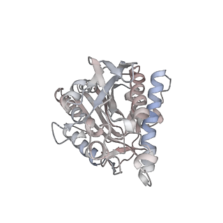 35791_8ixd_V_v1-2
GMPCPP-Alpha1C/Beta2A-microtubule decorated with kinesin non-seam region