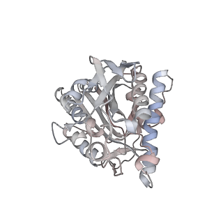 35791_8ixd_W_v1-2
GMPCPP-Alpha1C/Beta2A-microtubule decorated with kinesin non-seam region