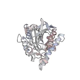 35791_8ixd_Y_v1-2
GMPCPP-Alpha1C/Beta2A-microtubule decorated with kinesin non-seam region