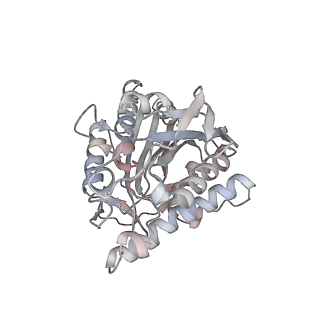 35791_8ixd_Z_v1-2
GMPCPP-Alpha1C/Beta2A-microtubule decorated with kinesin non-seam region