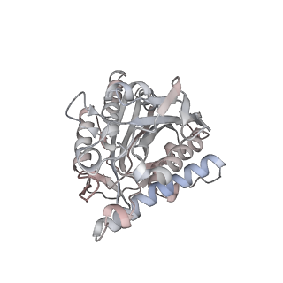 35791_8ixd_a_v1-2
GMPCPP-Alpha1C/Beta2A-microtubule decorated with kinesin non-seam region