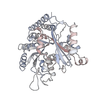 35792_8ixf_A_v1-2
GMPCPP-Alpha4A/Beta2A-microtubule decorated with kinesin non-seam region