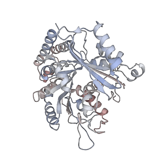 35792_8ixf_C_v1-2
GMPCPP-Alpha4A/Beta2A-microtubule decorated with kinesin non-seam region