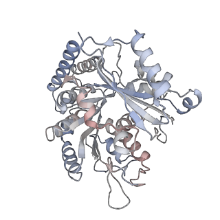 35792_8ixf_D_v1-2
GMPCPP-Alpha4A/Beta2A-microtubule decorated with kinesin non-seam region