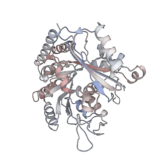 35792_8ixf_E_v1-2
GMPCPP-Alpha4A/Beta2A-microtubule decorated with kinesin non-seam region