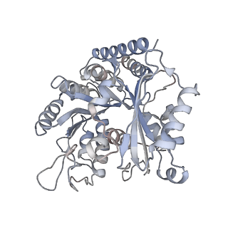 35792_8ixf_G_v1-2
GMPCPP-Alpha4A/Beta2A-microtubule decorated with kinesin non-seam region