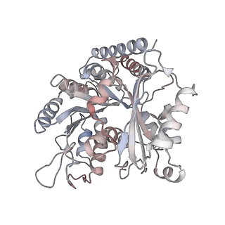35792_8ixf_H_v1-2
GMPCPP-Alpha4A/Beta2A-microtubule decorated with kinesin non-seam region