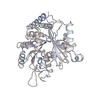 35792_8ixf_I_v1-2
GMPCPP-Alpha4A/Beta2A-microtubule decorated with kinesin non-seam region