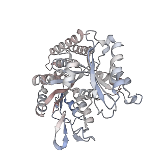 35792_8ixf_K_v1-2
GMPCPP-Alpha4A/Beta2A-microtubule decorated with kinesin non-seam region