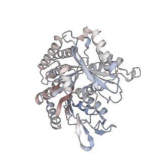 35792_8ixf_L_v1-2
GMPCPP-Alpha4A/Beta2A-microtubule decorated with kinesin non-seam region