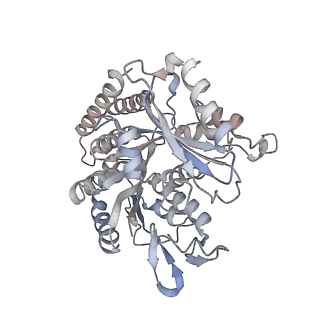 35792_8ixf_M_v1-2
GMPCPP-Alpha4A/Beta2A-microtubule decorated with kinesin non-seam region