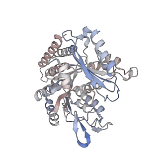 35792_8ixf_N_v1-2
GMPCPP-Alpha4A/Beta2A-microtubule decorated with kinesin non-seam region