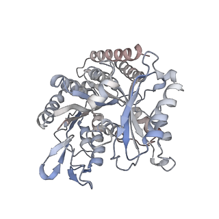 35792_8ixf_P_v1-2
GMPCPP-Alpha4A/Beta2A-microtubule decorated with kinesin non-seam region
