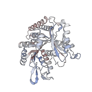 35792_8ixf_Q_v1-2
GMPCPP-Alpha4A/Beta2A-microtubule decorated with kinesin non-seam region