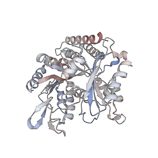 35792_8ixf_R_v1-2
GMPCPP-Alpha4A/Beta2A-microtubule decorated with kinesin non-seam region