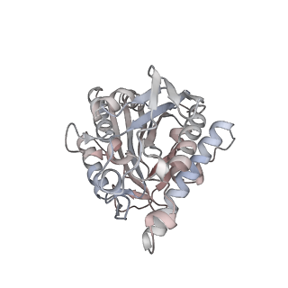 35792_8ixf_S_v1-2
GMPCPP-Alpha4A/Beta2A-microtubule decorated with kinesin non-seam region