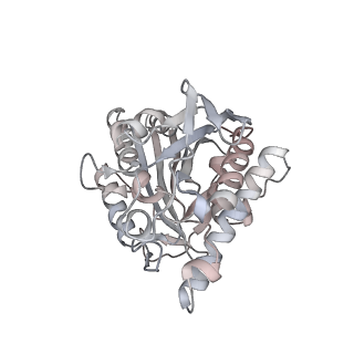 35792_8ixf_T_v1-2
GMPCPP-Alpha4A/Beta2A-microtubule decorated with kinesin non-seam region