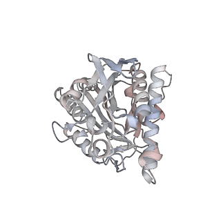35792_8ixf_U_v1-2
GMPCPP-Alpha4A/Beta2A-microtubule decorated with kinesin non-seam region