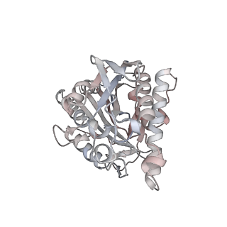 35792_8ixf_V_v1-2
GMPCPP-Alpha4A/Beta2A-microtubule decorated with kinesin non-seam region