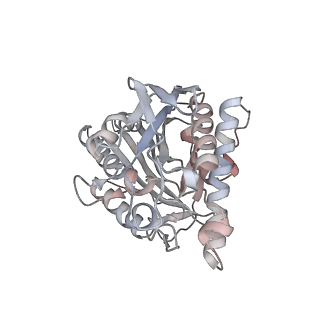 35792_8ixf_W_v1-2
GMPCPP-Alpha4A/Beta2A-microtubule decorated with kinesin non-seam region