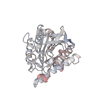 35792_8ixf_X_v1-2
GMPCPP-Alpha4A/Beta2A-microtubule decorated with kinesin non-seam region