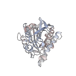 35792_8ixf_Y_v1-2
GMPCPP-Alpha4A/Beta2A-microtubule decorated with kinesin non-seam region