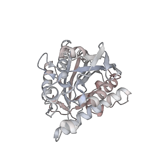 35792_8ixf_Z_v1-2
GMPCPP-Alpha4A/Beta2A-microtubule decorated with kinesin non-seam region