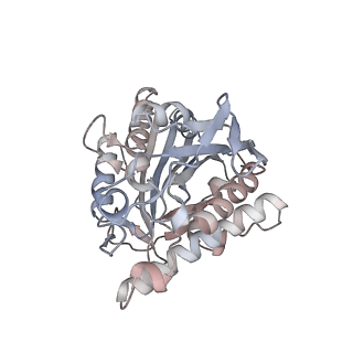 35792_8ixf_a_v1-2
GMPCPP-Alpha4A/Beta2A-microtubule decorated with kinesin non-seam region