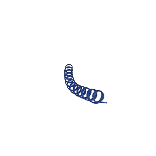 35794_8ixk_C_v1-1
bottom segment of the bacteriophage M13 mini variant