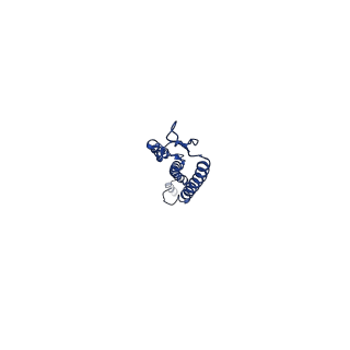 35794_8ixk_K_v1-1
bottom segment of the bacteriophage M13 mini variant