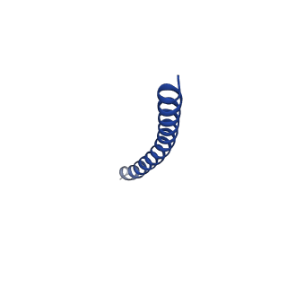 35794_8ixk_L_v1-1
bottom segment of the bacteriophage M13 mini variant
