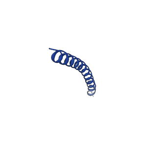 35794_8ixk_V_v1-1
bottom segment of the bacteriophage M13 mini variant