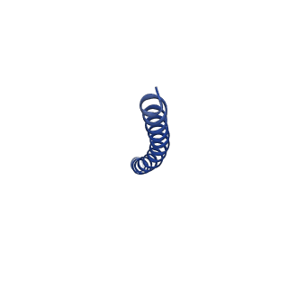 35795_8ixl_EA_v1-1
top segment of the bacteriophage M13 mini variant