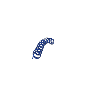 35795_8ixl_G_v1-1
top segment of the bacteriophage M13 mini variant