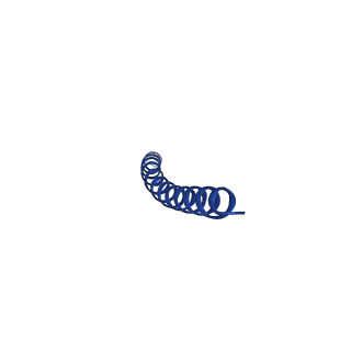 35795_8ixl_T_v1-1
top segment of the bacteriophage M13 mini variant