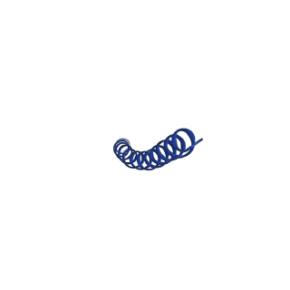 35795_8ixl_W_v1-1
top segment of the bacteriophage M13 mini variant